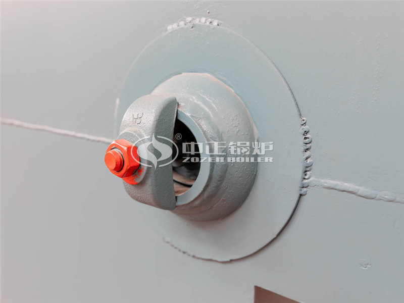 30T燃生物質(zhì)導熱油爐價格一般是多少