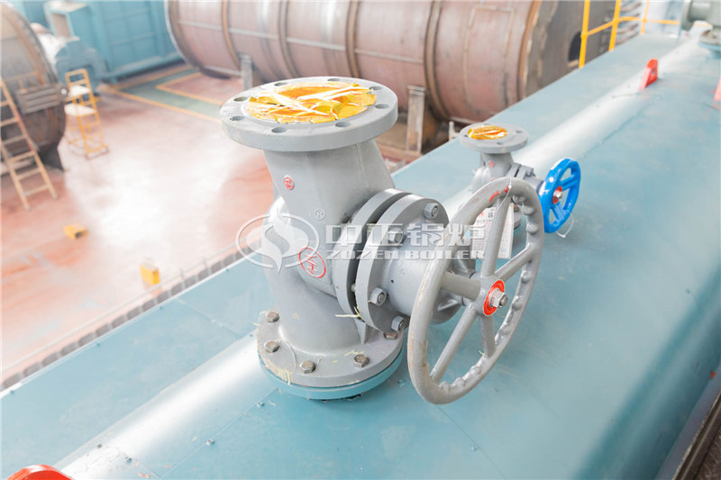 25噸燃氣導熱油鍋爐生產廠家